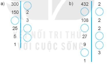 [Kết nối tri thức] Giải SBT toán 6 tập 1 bài 10: Số nguyên tố