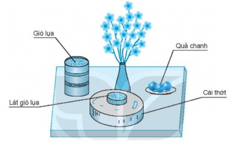 [KNTT] Giải VBT Toán 2 bài 46: Khối trụ, khối cầu