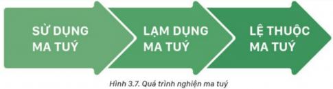 Giải bài 3 Ma túy, tác hại của ma túy