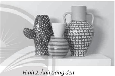 Quan sát và cho biết sự khác nhau giữa bức ảnh ở Hình 1 và bức ảnh ở Hình 2. Theo em, làm thế nào để từ ảnh màu ta có được ảnh đen trắng?