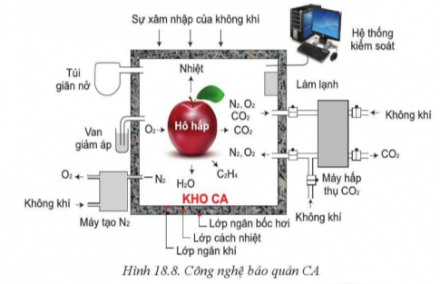 Giải bài 18 Ứng dụng công nghệ cao trong thu hoạch, bảo quản và chế biến sản phẩm trồng trọt