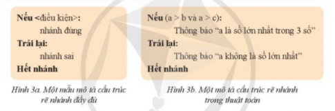  Em hãy thể hiện mô tả cấu trúc rẽ nhánh ở Hình 3b bằng một khối lệnh trong Scratch.