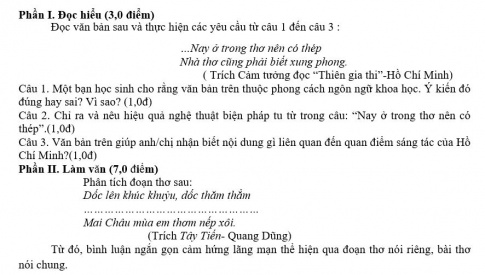 Giáo án PTNL bài Trả bài làm văn số 3