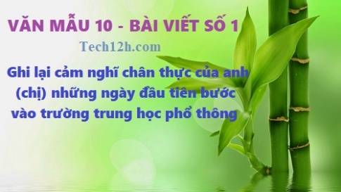 Văn mẫu 10 bài viết số 1 đề: Ghi lại những cảm nghĩ chân thực của anh (chị) những ngày đầu tiên bước vào trường trung học phổ thông