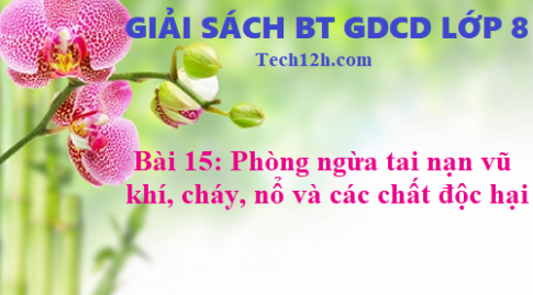 Giải SBT GDCD 8 bài 15: Phòng ngừa tai nạn vũ khí, cháy, nổ và các chất độc hại