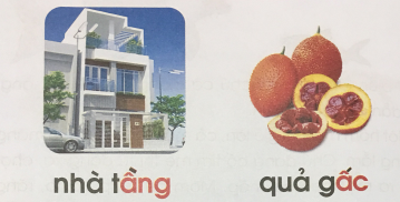 [Cánh điều] Giải Tiếng Việt 1 tập 1 bài 79: Âng, âc