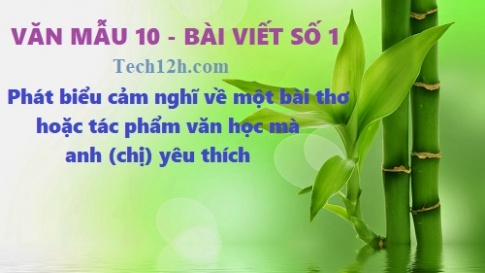 Văn mẫu 10 bài viết số 1 đề: Phát biểu cảm nghĩ về một bài thơ hoặc tác phẩm văn học mà anh (chị) yêu thích