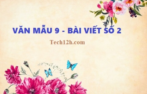 Tổng hợp những bài viết số 2 ngữ văn 9 hay nhất với đầy đủ tất cả các đề (4 đề)