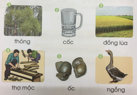 [Cánh điều] Giải Tiếng Việt 1 tập 1 bài 85: ông, ôc