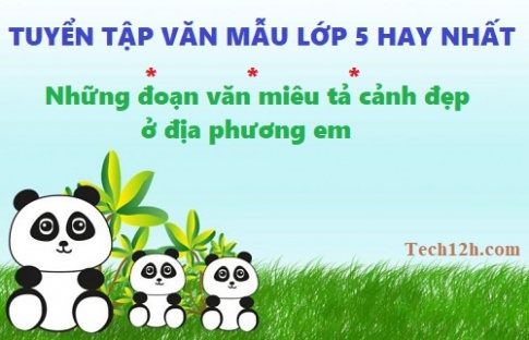 Những đoạn văn miêu tả cảnh đẹp ở địa phương em hay nhất tiếng việt 5