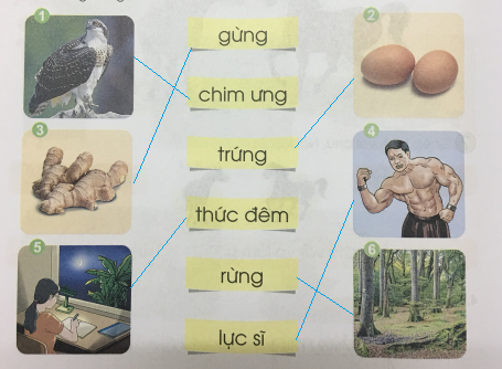 [Cánh điều] Giải Tiếng Việt 1 tập 1 bài 89: ưng, ưc