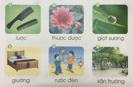  [Cánh điều] Giải Tiếng Việt 1 tập 1 bài 91: ương, ươc