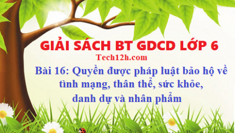 Giải SBT GDCD 6 bài 16: Quyền được pháp luật bảo hộ về tình mạng, thân thể, sức khỏe, danh dự và nhân phẩm