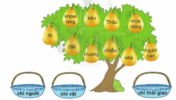 Xếp các từ ngữ vào nhóm thích hợp