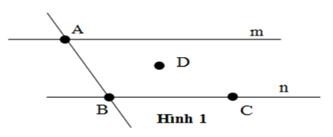 [KNTT] Trắc nghiệm Toán 6 bài 32: Điểm và đường thẳng