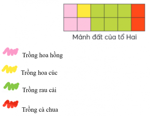 Tổ Hai được phân công trồng cây trên một mảnh đất. Các bạn chia mảnh đất thành 12 phần bằng nhau và trồng cây như sau: 