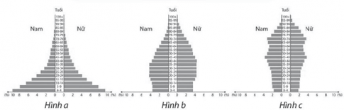 Trắc nghiệm Địa lí 10 chân trời bài 20 Cơ cấu dân số