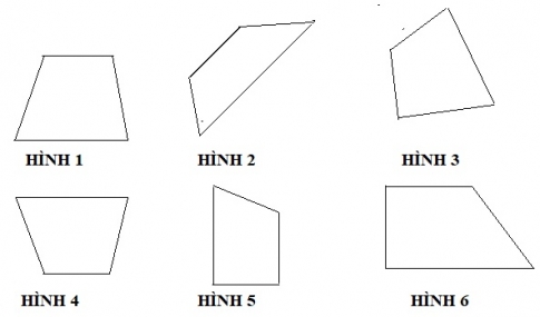 Giải bài Hình thang 