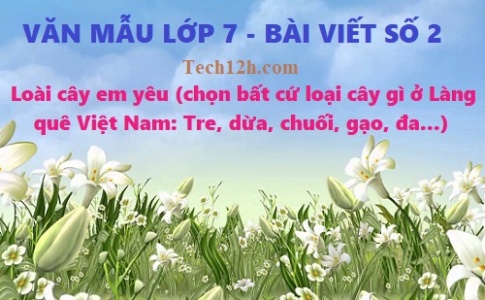 Văn mẫu 7 bài viết số 2: Loài cây em yêu (chọn bất cứ loại cây gì ở Làng quê Việt Nam: Tre, dừa, chuối, gạo, đa...không viết lại cây sấu)