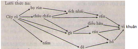 Hãy vẽ một lưới thức ăn trong đó có các sinh vật: cây cỏ, bọ rùa, ếch nhái rắn, cháu chấu, diều hâu, nấm, vi khuẩn, cáo, gà rừng, dê, hổ