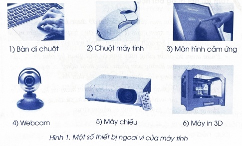 Theo em, mỗi thiết bị ngoại vi trong Hình 1 bố sung cho máy tính chức năng gì?