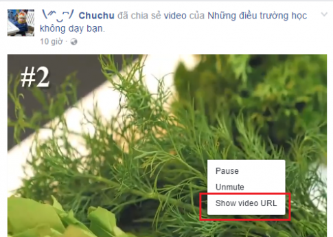 Cách tải video trên Facebook về máy tính chắc chắn được