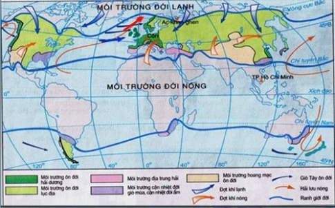 Quan sát hình 13.1: Nêu tên và xác định vị trí của các kiểu môi trường ở đới ôn hoà. Nêu vai trò của dòng biển nóng và gió Tây ôn đới đối với khí hậu ở đới ôn hoà.