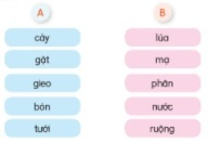  Kết hợp từ ở cột A với từ ở cột B để tạo từ ngữ chỉ công việc của người nông dân. Viết 4 - 5 câu kể về công việc của một người thân