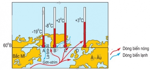 Bài 25: Thực hành sự chuyển động của các dòng biển  trong đại dương