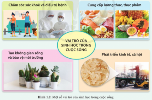 Giải bài 1 Giới thiệu chương trình môn sinh học và sự phát triển bền vững