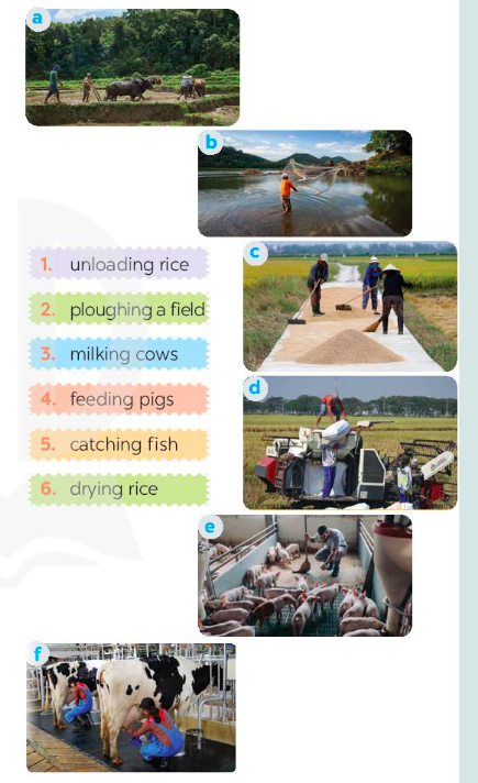Giải Tiếng Anh 8 Global Success Unit 2 Getting Started
