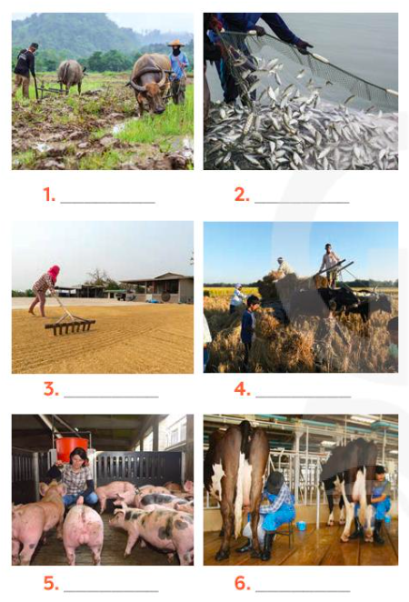 Giải Tiếng Anh 8 Global Success Unit 2 Looking Back