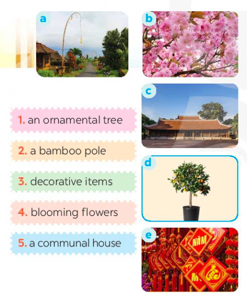 Giải Tiếng Anh 8 Global Success Unit 5 Getting Started