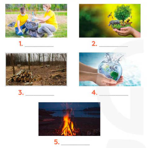 Giải Tiếng Anh 8 Global Success Unit 7 A Closer Look 1