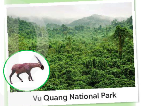 Giải Tiếng Anh 8 Global Success Unit 7 Skills 1