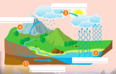  The water cycle