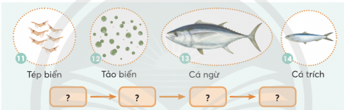 hình 1