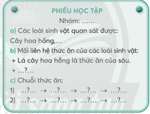 hình 1