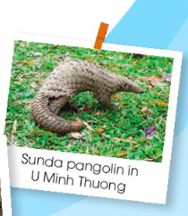 Giải Tiếng Anh 11 Global Success Unit 10 Reading