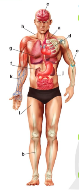 Giải Tiếng Anh 11 Explore new worlds Unit 4A. Discuss Ways to Stay Healthy