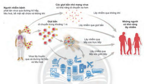 Vẽ sơ đồ khái quát nguyên nhân lây nhiễm bệnh qua đường hô hấp.