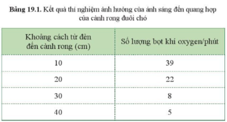 Giải bài 19 Các yếu tố ảnh hưởng đến quang hợp