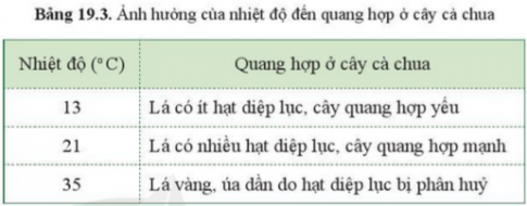 Giải bài 19 Các yếu tố ảnh hưởng đến quang hợp