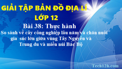 Giải TBĐ địa 12 bài 38: Thực hành so sánh về cây công nghiệp lâu năm và chăn nuôi gia súc lớn giữa vùng Tây Nguyên với Trung du và miền núi Bắc Bộ