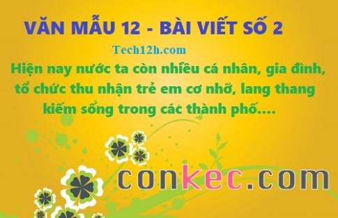 Văn mẫu 12 bài viết số 2 đề 2: Hiện nay nước ta có nhiều cá nhân, gia đình, tổ chức thu nhận trẻ em cơ nhỡ, lang thang kiếm sống trong các thành phố...