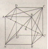 Giải Câu 3 Bài 5: Khoảng cách