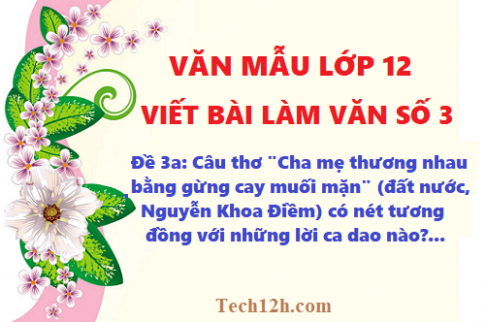 Văn mẫu 12 bài viết số 3 đề 3a: Câu thơ 