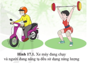 Giải bài 17 Vai trò của trao đổi chất và chuyển hóa năng lượng ở sinh vật