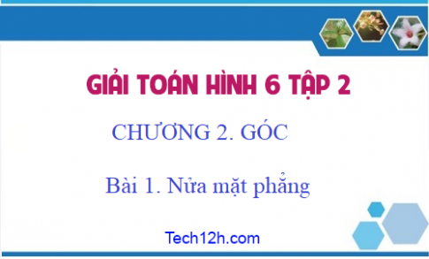 Giải Bài 1: Nửa mặt phẳng sgk Toán 6 tập 2 Trang 71 73