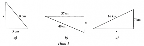 Câu 10 trang 73 SBT Toán 8 tập 1 CTST: 